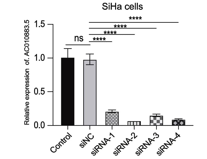 Open access visualization of Bar Plot, Error Bars, AC010883.5, SiHa Cells, si-NC