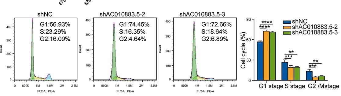 Open access visualization of Bar Plot, Histogram, Error Bars, Cell Cycle, SiHa Cells
