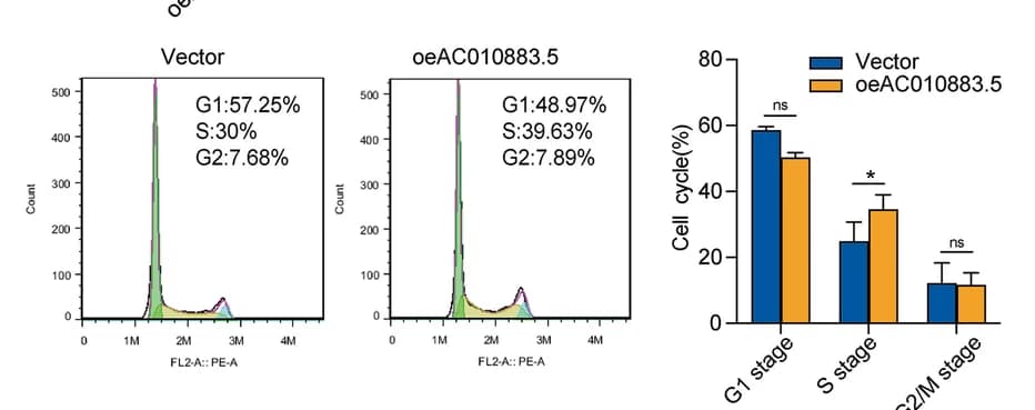 Open access visualization of Bar Plot, Histogram, Error Bars, Flow Cytometry, C33-A Cells