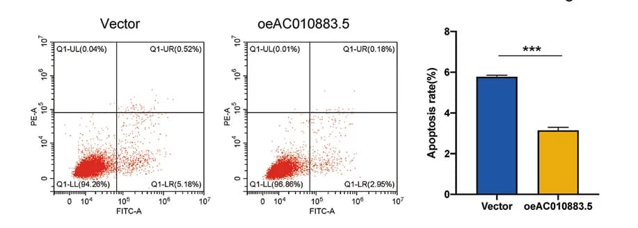 Open access visualization of Bar Plot, Error Bars, Scatter Plot, Flow Cytometry, Apoptotic Cells