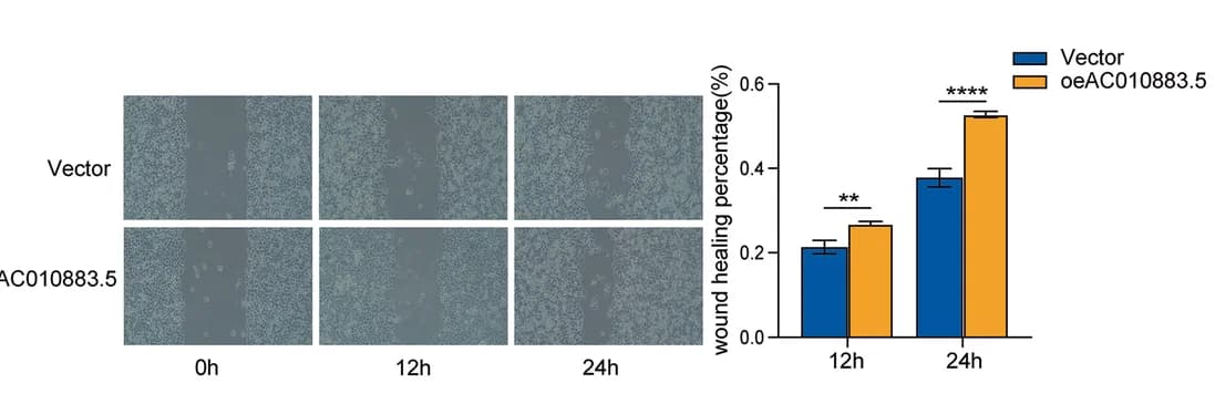 Open access visualization of Bar Plot, Error Bars, Clustered, Microscopy, Photo
