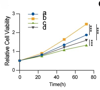 Open access visualization of Line Plot, CCK-8 Analysis, C-33A Cells, PD98059, AC010883.5