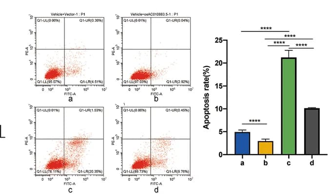 Open access visualization of Scatter Plot, Bar Plot, Error Bars, Flow Cytometry, C-33A Cells