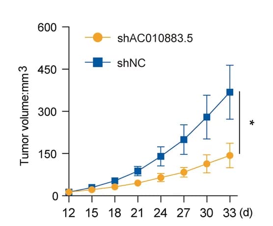 Open access visualization of Line Plot, Error Bars, Tumor Tissue, SiHa Cells