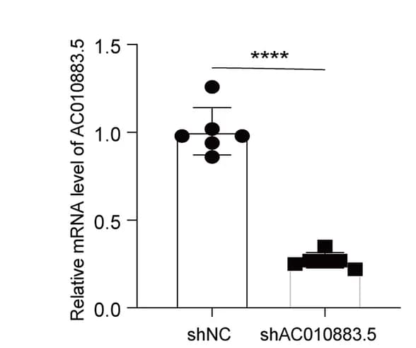 Open access visualization of Bar Plot, Scatter Plot, Error Bars, Gene Expression, SiHa Cells