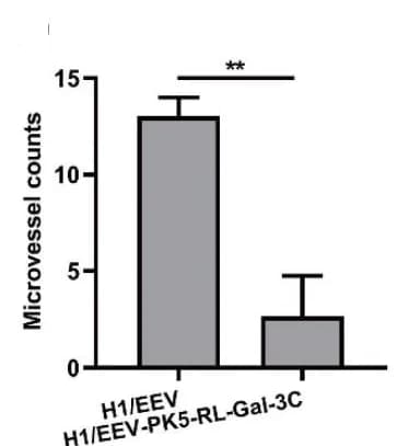 Open access visualization of Bar Plot, Error Bars, CD31, Tumor Tissues, IHC
