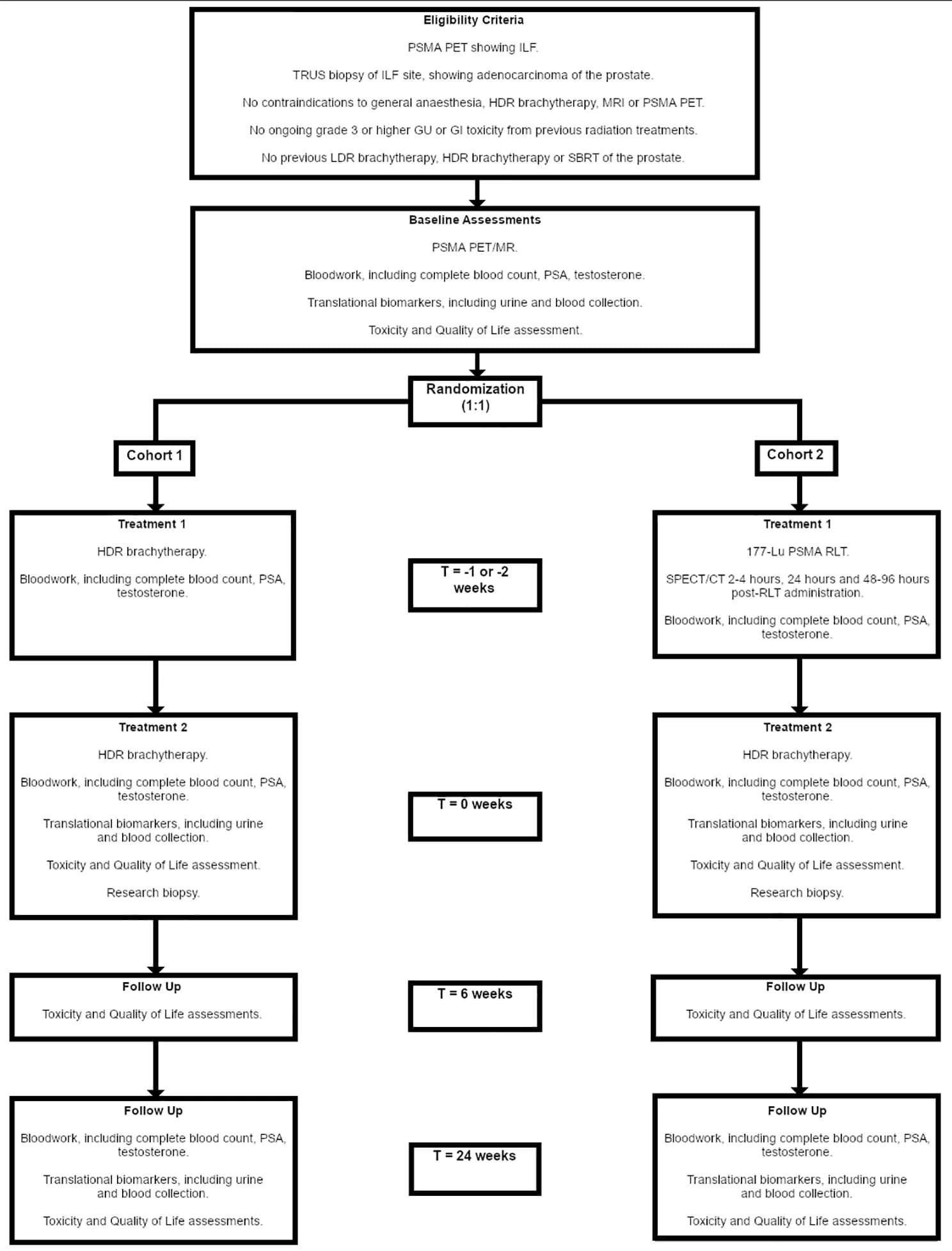 Open access visualization of Workflow, Flowchart, Clinical Trial, Schema