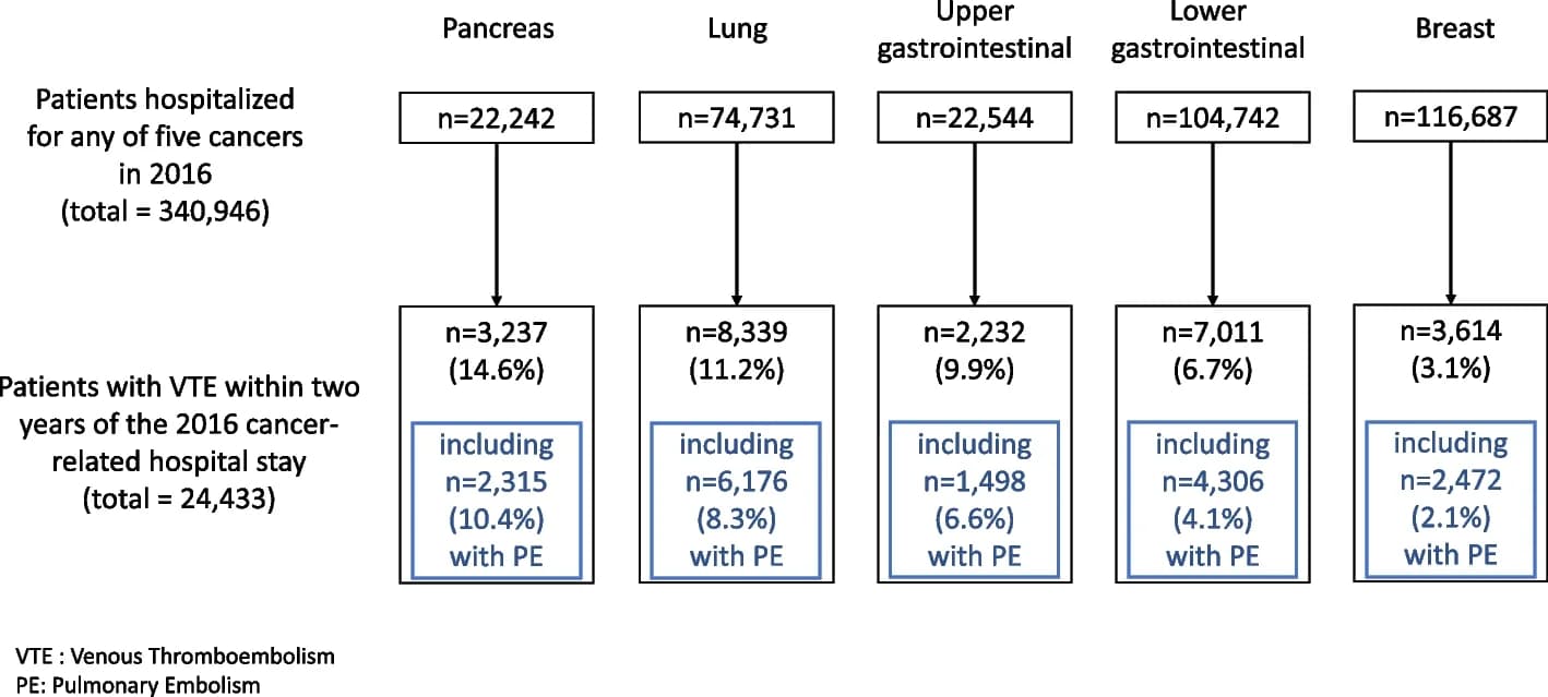 Open access visualization of Flowchart, Study Population, VTE, Cancers, Chi-square Test