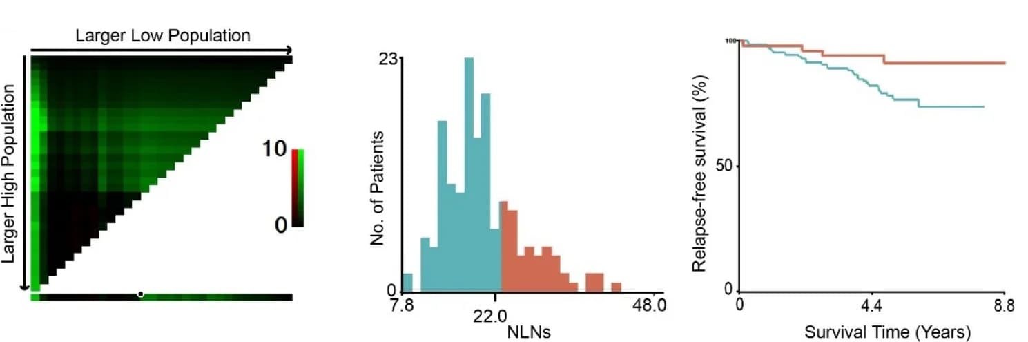 Open access visualization of Heatmap, Histogram, Survival Curve, NLNs, X-tile program