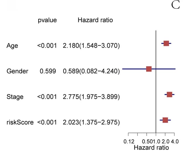 Open access visualization of Forest Plot, Hazard Ratios, Clinical Parameters, Breast Cancer