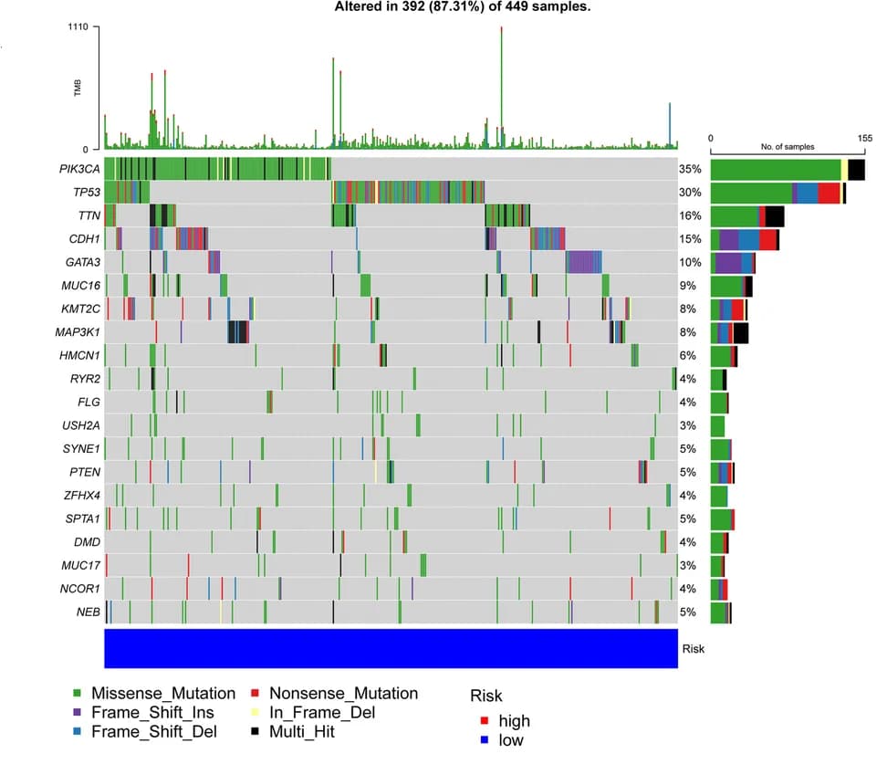 Open access visualization of Heatmap, Bar Plot, Stacked Bar Plot, Waterfall Chart, High-Risk Group