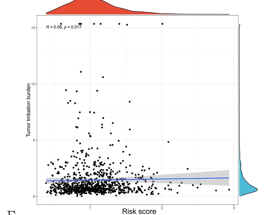 Open access visualization of Scatter Plot, Regression Plot, Density Plot, TMB Score, Risk Score