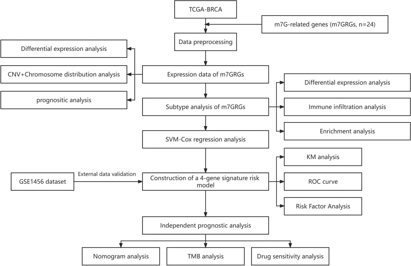 Open access visualization of Workflow, Flowchart, Study Design, Patient Selection, Data Analysis