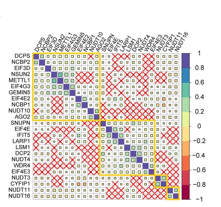 Open access visualization of Heatmap, m7GRGs, Breast Cancer
