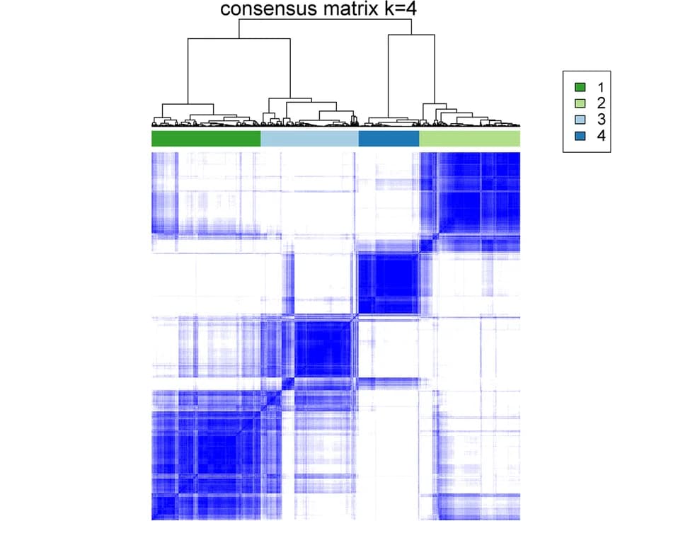 Open access visualization of Heatmap, Clustered, Consensus Score Matrix, Breast Cancer, TCGA-BRCA Cohorts