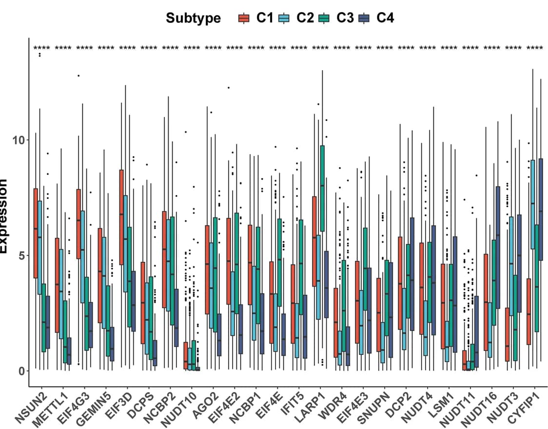 Open access visualization of Box Plot, m7GRGs, Breast Cancer Subtypes, Gene Expression