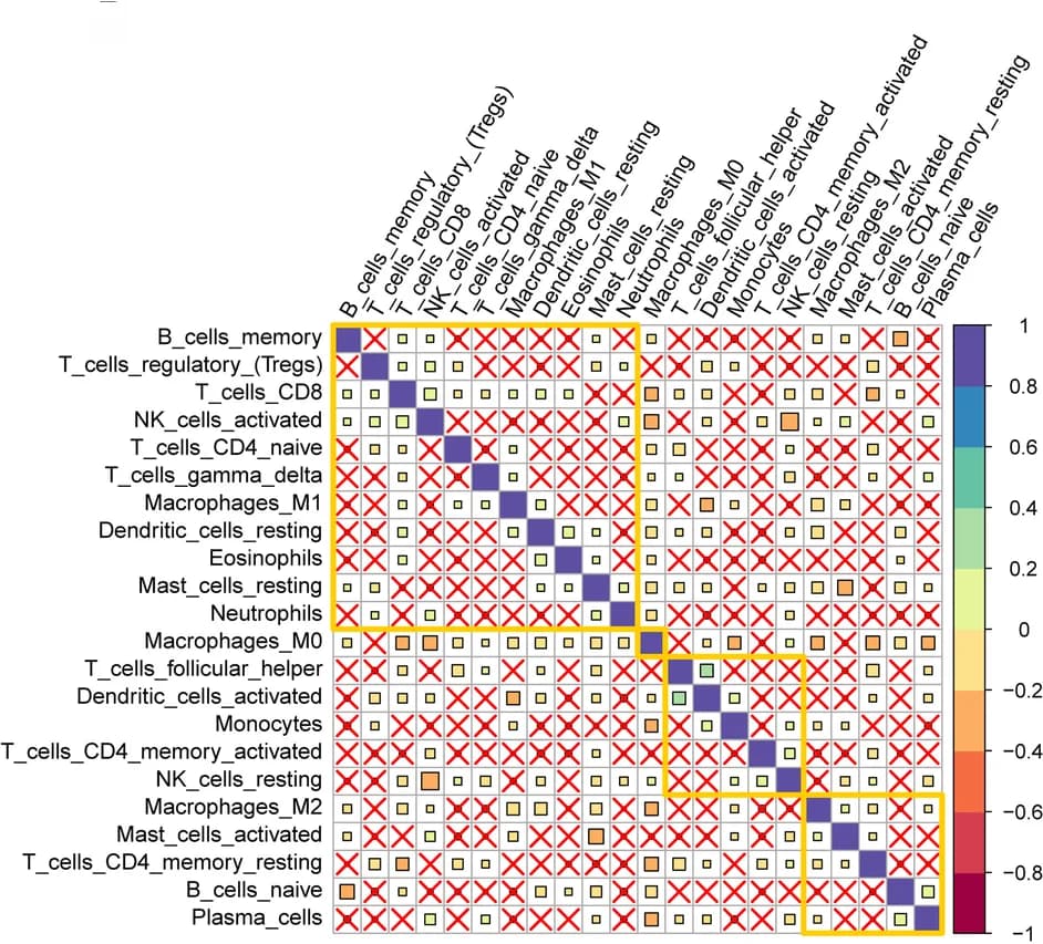 Open access visualization of Heatmap, Clustered, Immune Cells, TCGA-BRCA Cohort, Correlations