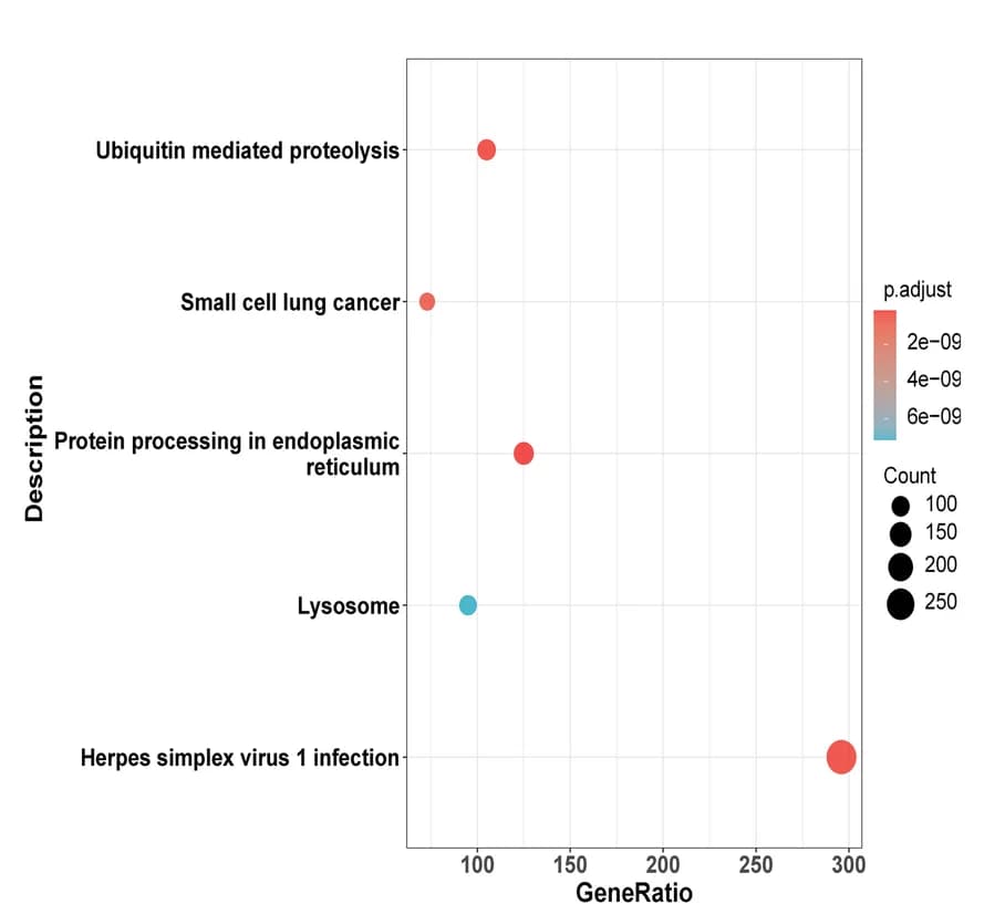 Open access visualization of Bubble Plot, KEGG Enrichment Analysis, Breast Cancer Subtypes, Pathways