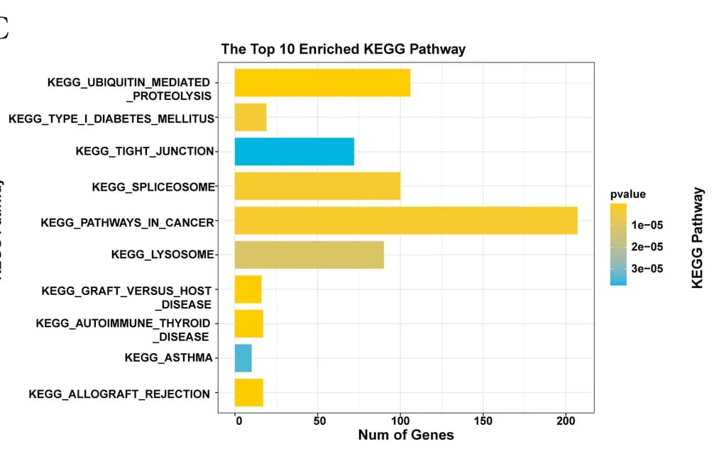 Open access visualization of Bar Plot, GSEA Enrichment Analysis, Breast Cancer Subtypes, Pathways