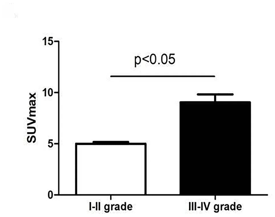 Open access visualization of Bar Plot, Error Bars, SUVmax, Tumor Differentiation