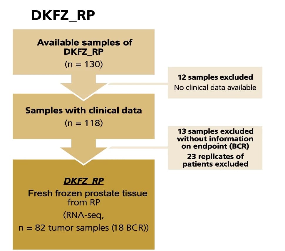 Open access visualization of Workflow, Flowchart, EGA Archive Samples, Biochemical Recurrence, Biopsy