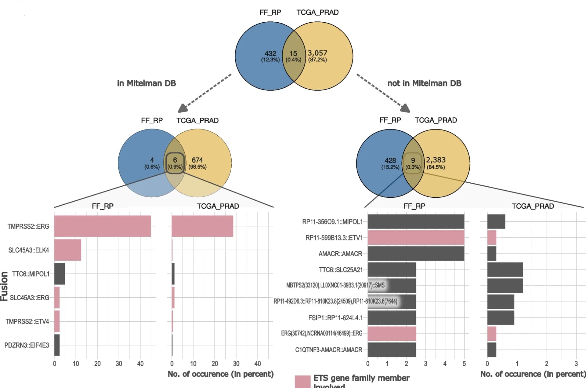 Open access visualization of Venn Diagram, Bar Plot, Gene Fusions, ETS Family, Discovery Cohorts