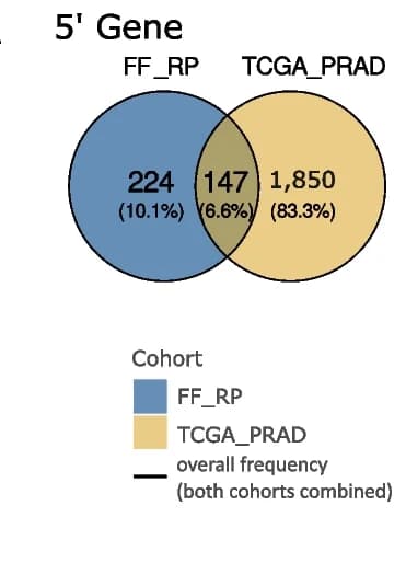 Open access visualization of Venn Diagram, Gene Fusions, 5' Gene, Venn Diagrams, FF_RP