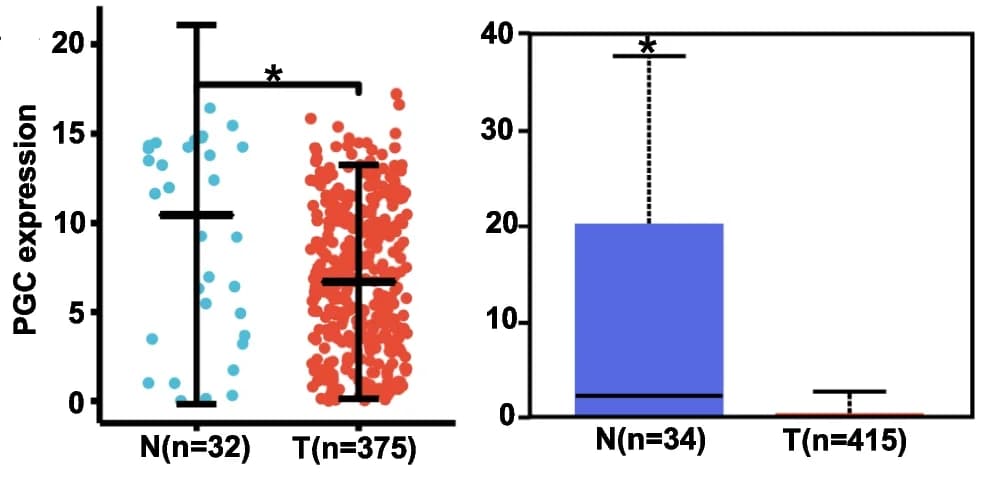Open access visualization of Scatter Plot, Box Plot, Error Bars, Gastric Cancer, mRNA Expression