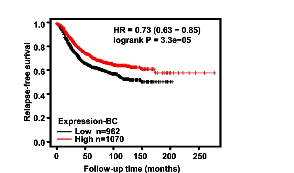 Open access visualization of Survival Curve, Kaplan-Meier Plot, mRNA Expression, Relapse-Free Survival, Breast Cancer