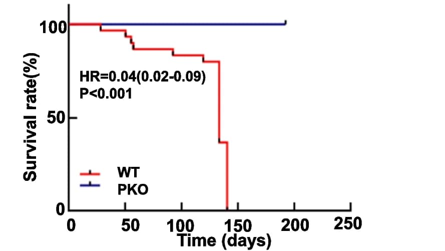Open access visualization of Survival Curve, Line Step, Survival Curves, Kaplan-Meier Method, Wild-type Mice