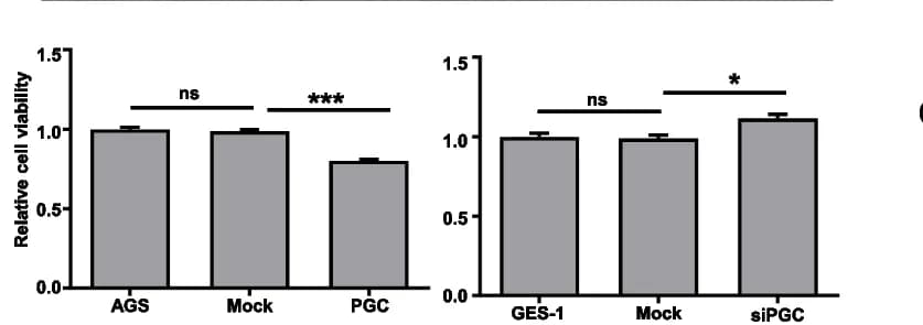 Open access visualization of Bar Plot, Error Bars, CCK-8, Proliferation, Chemosensitivity