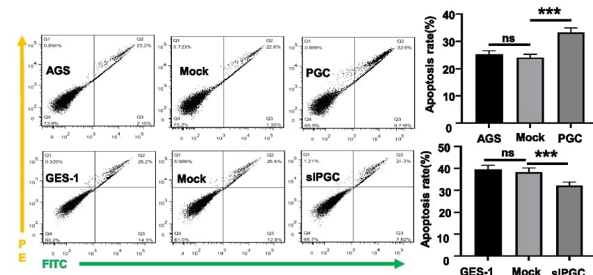 Open access visualization of Scatter Plot, Bar Plot, Error Bars, Annexin V Staining, Apoptosis