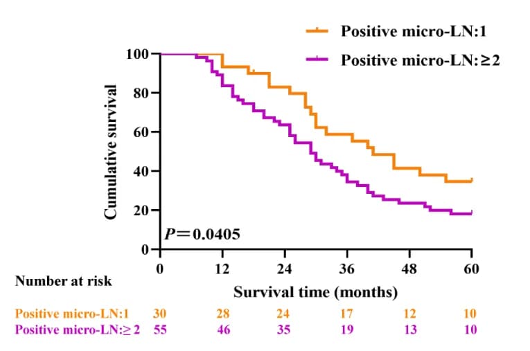 Open access visualization of Survival Curve, Line Step, Kaplan-Meier Estimate, Micro Lymph Node Positivity, Patients