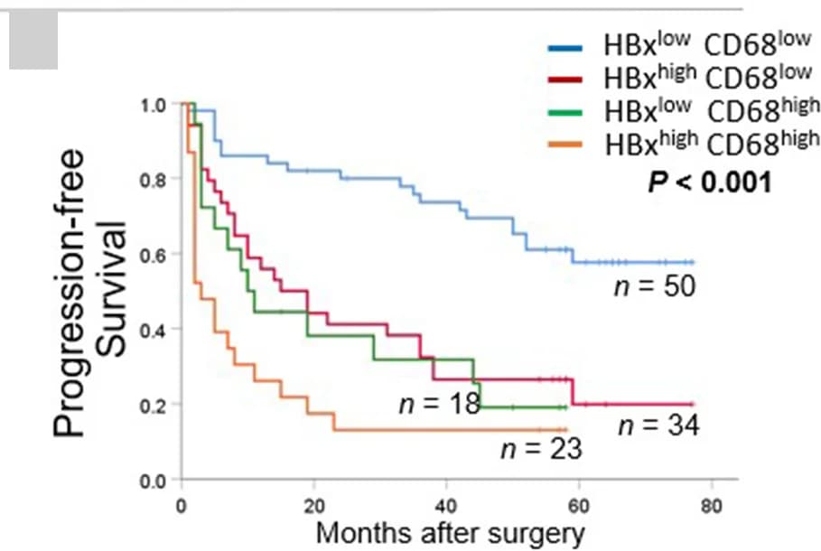 Open access visualization of Survival Curve, Line Plot, Line Step, HBx, CD68