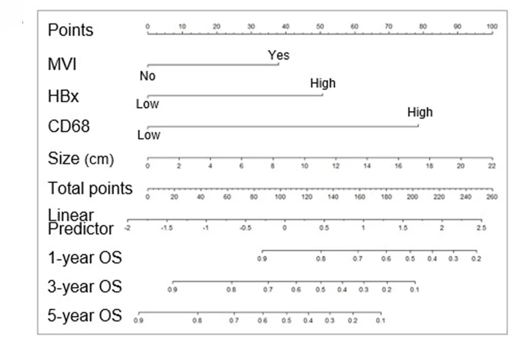 Open access visualization of Nomogram, Overall Survival, HBV-related HCC, Liver Resection, Training Cohort