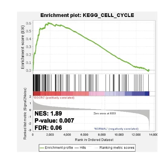 Open access visualization of Line Plot, Cell Cycle, Pathway, Oncological Signature, EOCRC