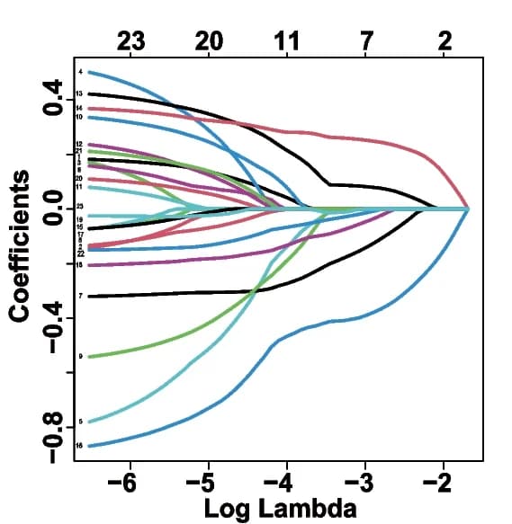 Open access visualization of Line Plot, Log Lambda Value, Cross-Validation Error, Training Group, LASSO Model