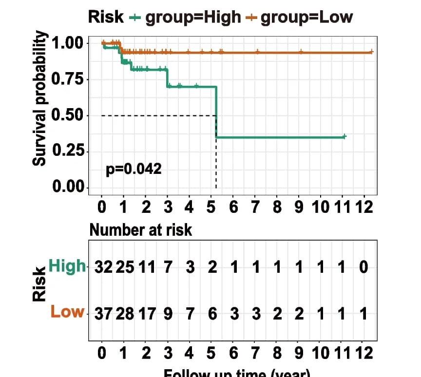 Open access visualization of Survival Curve, Kaplan-Meier Survival Analysis, Low-Risk Group, High-Risk Group, TCGA External Validation Cohort