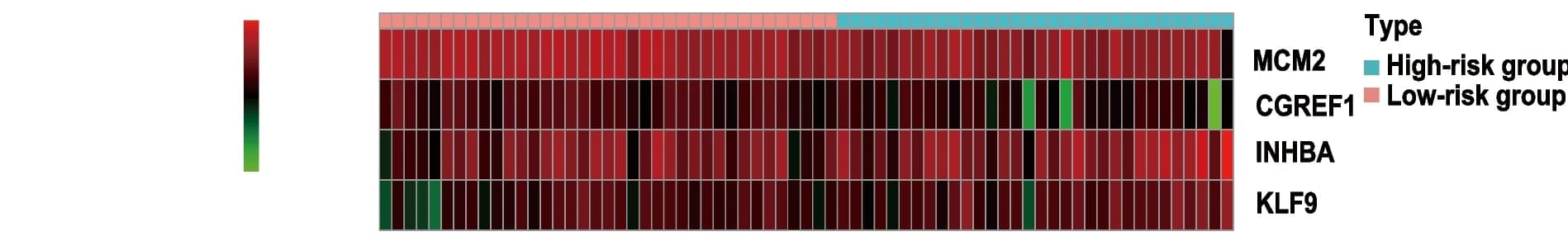 Open access visualization of Heatmap, Gene Expression, Validation Cohort, High-Risk Group, Low-Risk Group