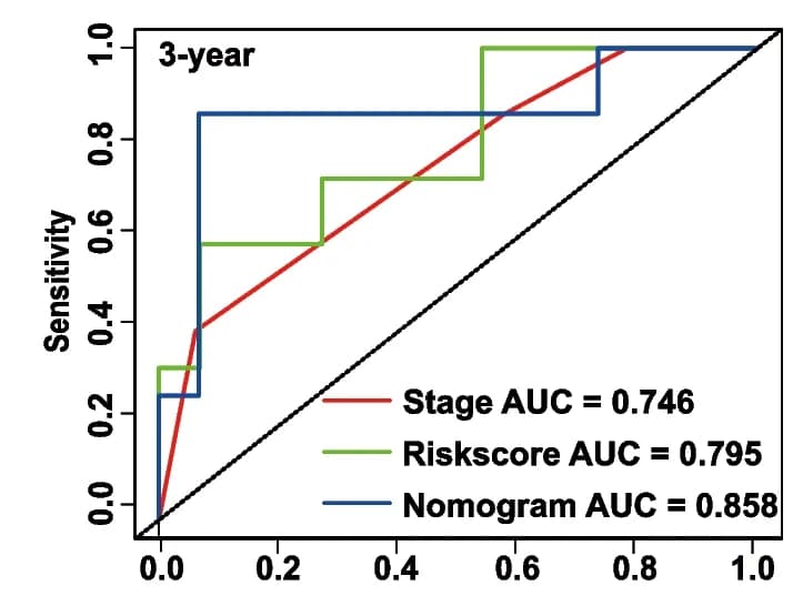 Open access visualization of Line Plot, Line Step, ROC curve analyses, Nomogram, Tumor Stage