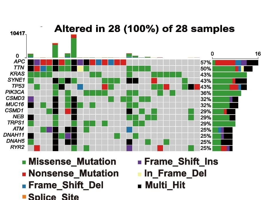 Open access visualization of Heatmap, Bar Plot, Mutation, High-Risk Cohorts, TCGA