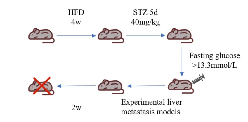 Open access visualization of Workflow, Flowchart, Illustration, CRC, Metastasis
