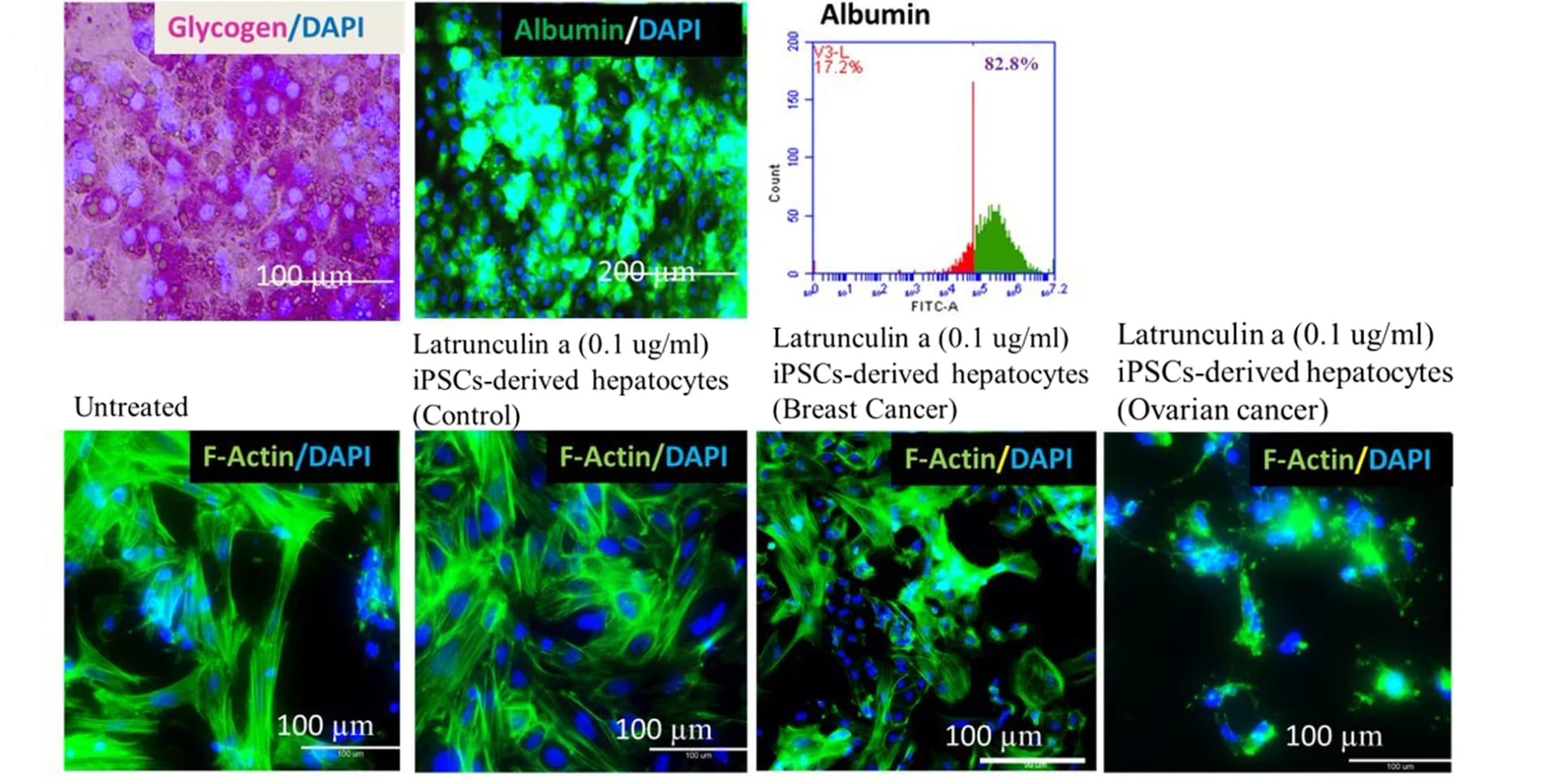 Open access visualization of Microscopy, Line Plot, Density Plot, Glycogen, Albumin