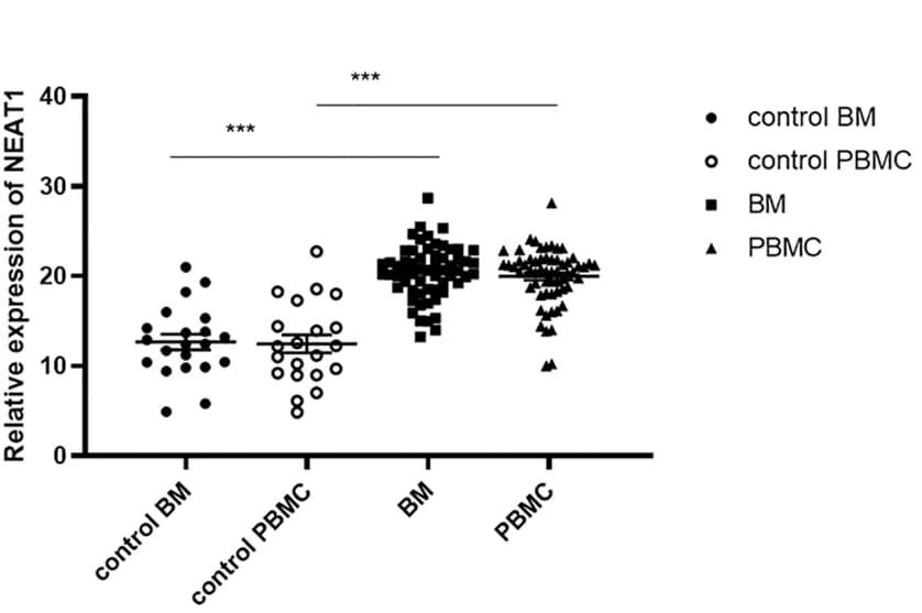 Open access visualization of Scatter Plot, NEAT1, MM, Healthy Control Group, BM