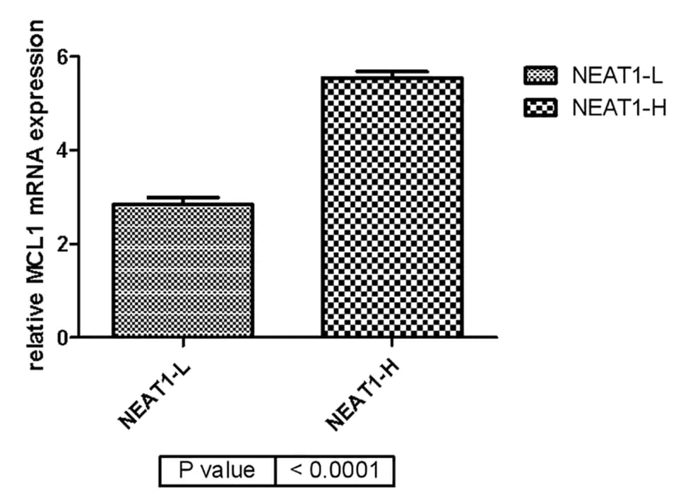 Open access visualization of Bar Plot, Error Bars, MCL1 mRNA expression, NEAT1 expression, mRNA Expression