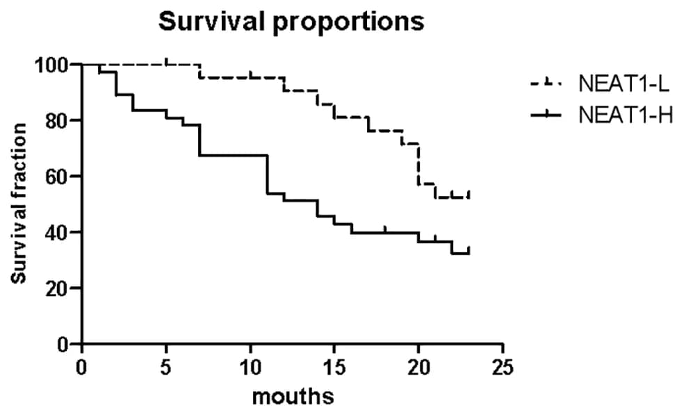 Open access visualization of Survival Curve, Line Step, NEAT1 expression, Progression-free survival, Kaplan-Meier Estimates