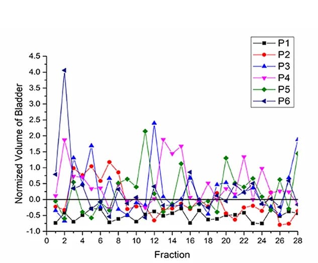 Open access visualization of Line Plot, Bladder Volume
