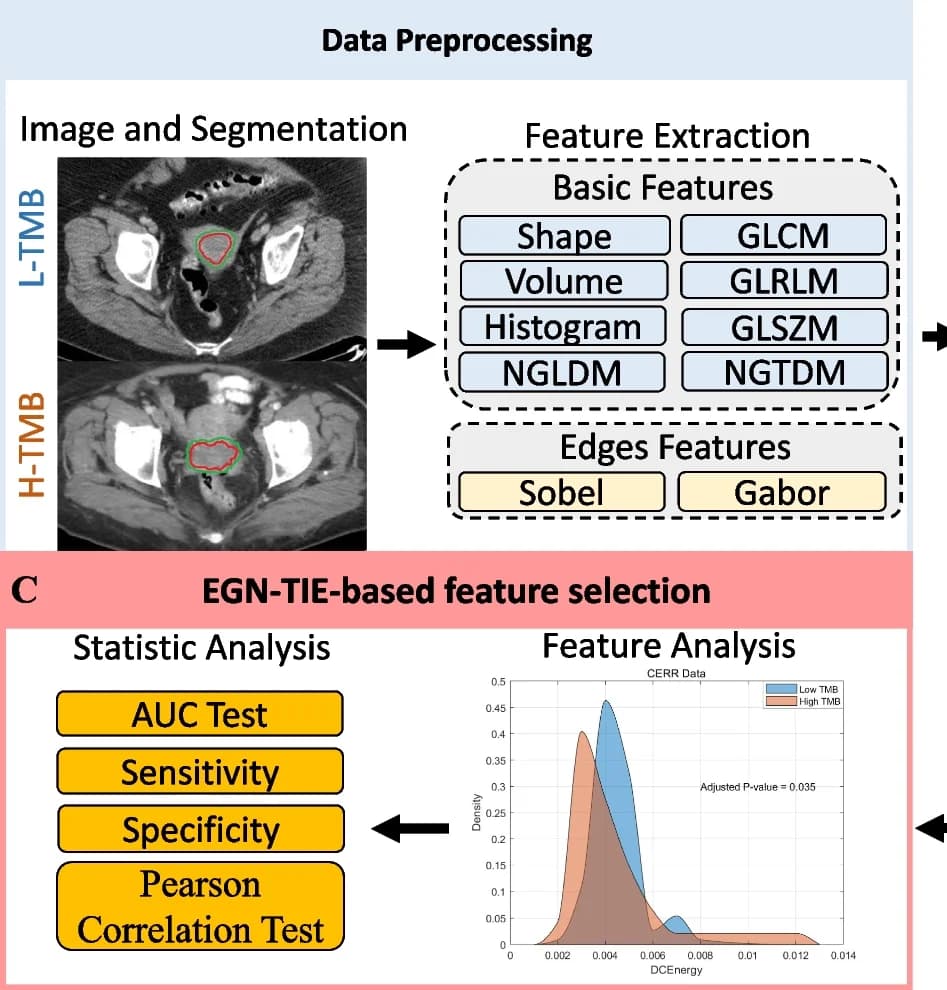Open access visualization of Workflow, Microscopy, Density Plot, NEM-TIE, Data Preprocessing