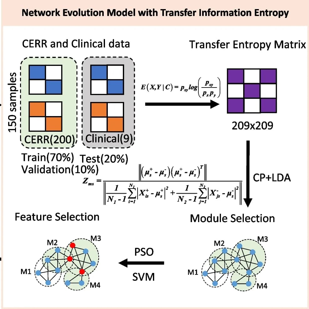 Open access visualization of Workflow, Flowchart, NEM-TIE, Transfer entropy matrix, Clinical data