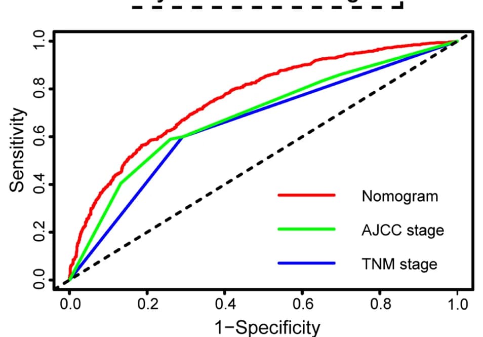 Open access visualization of Line Plot, Survival Curve, Nomograms, TNM System, AJCC System